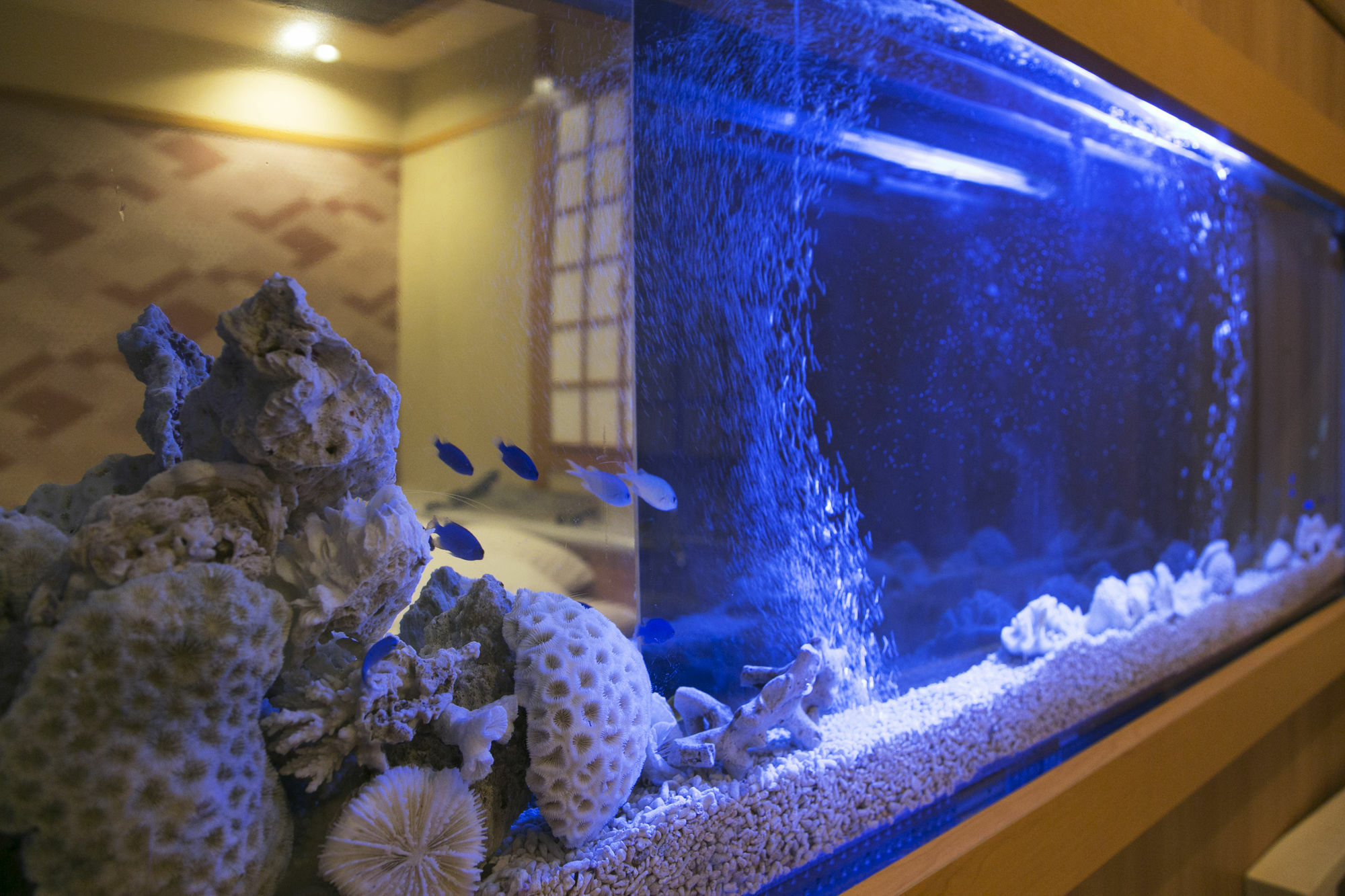 Hotel Atlantis Higashi Osaka (Adults Only) Εξωτερικό φωτογραφία